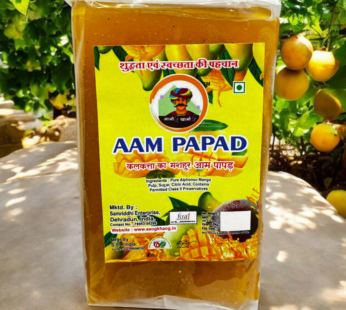 AAM PAPAD PULP BASE