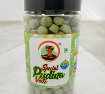 SPECIAL PUDINA VATI