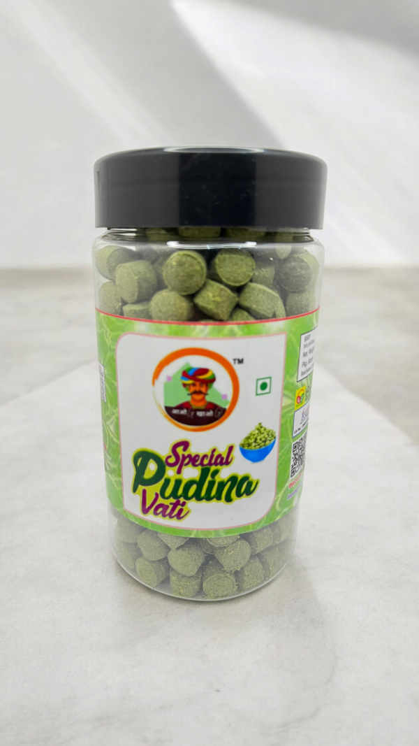 SPECIAL PUDINA VATI