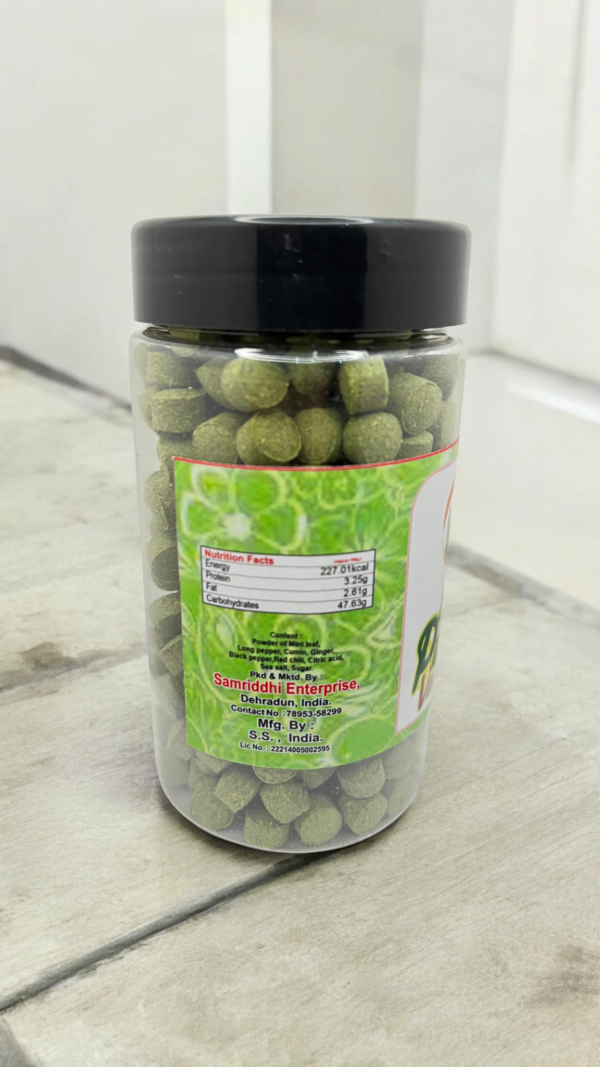 SPECIAL PUDINA VATI - Image 3