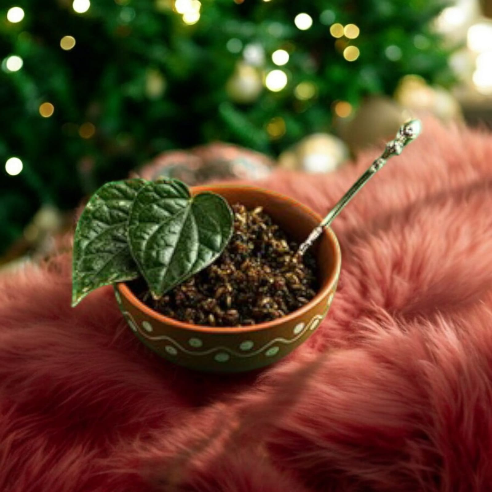 PAAN