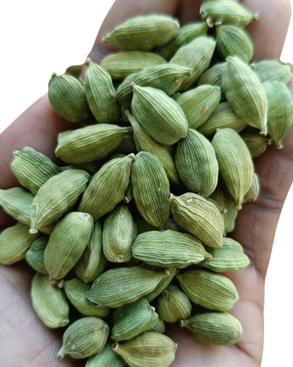CHOTTI ELAICHI (cardamom) - Image 4